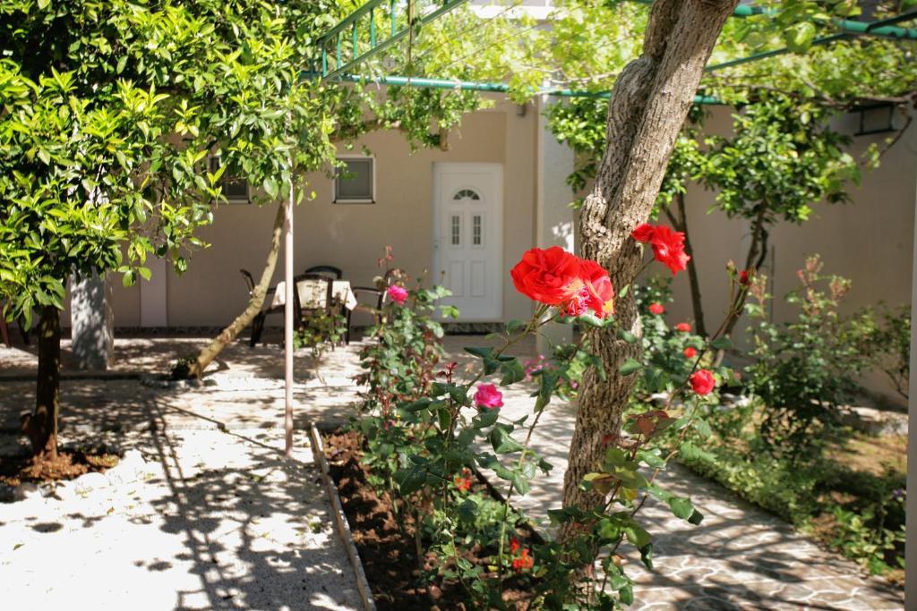 Apartments Obala - Katic Χέρτσεγκ Νόβι Εξωτερικό φωτογραφία